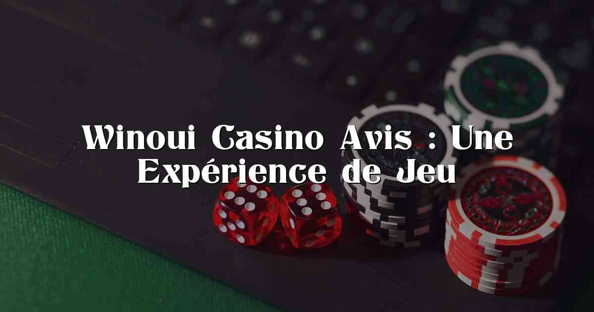 Winoui Casino Avis : Une Expérience de Jeu